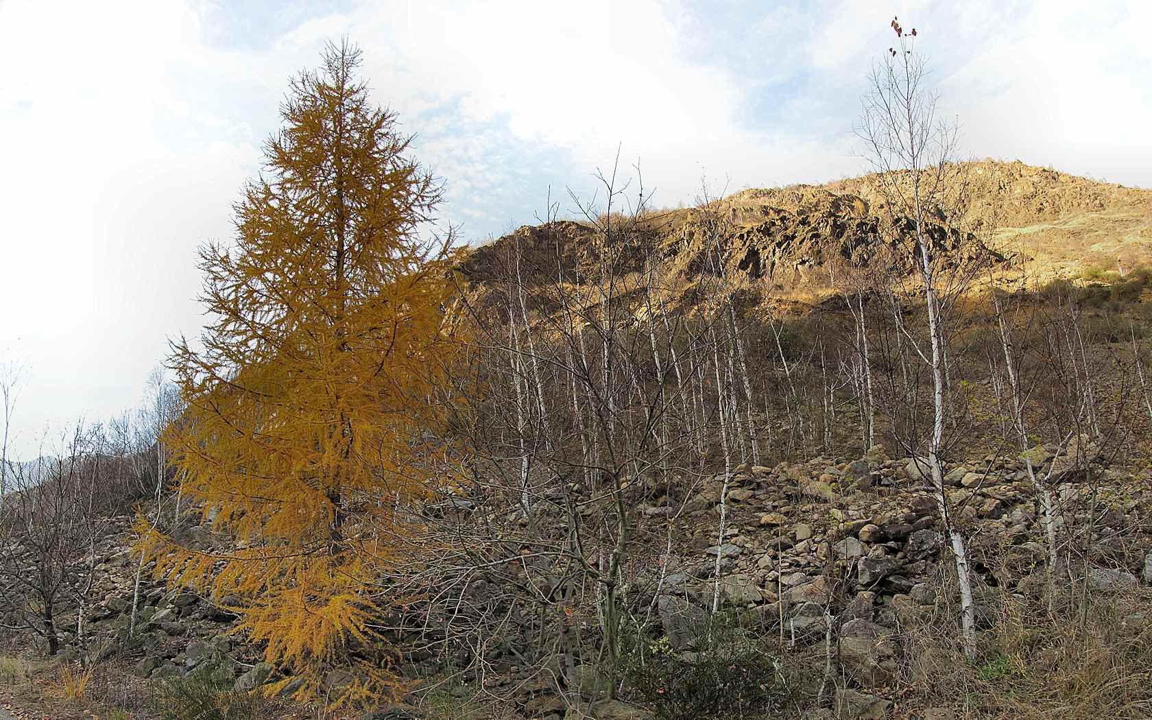 Un macereto valsesiano